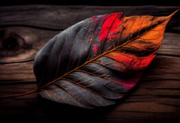 Autumn leaf falling, revealing intricate leaf vein generated by AI